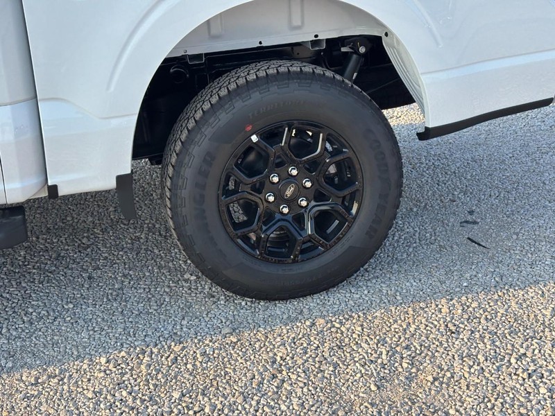 Ford F-150 Vehicle Full-screen Gallery Image 12