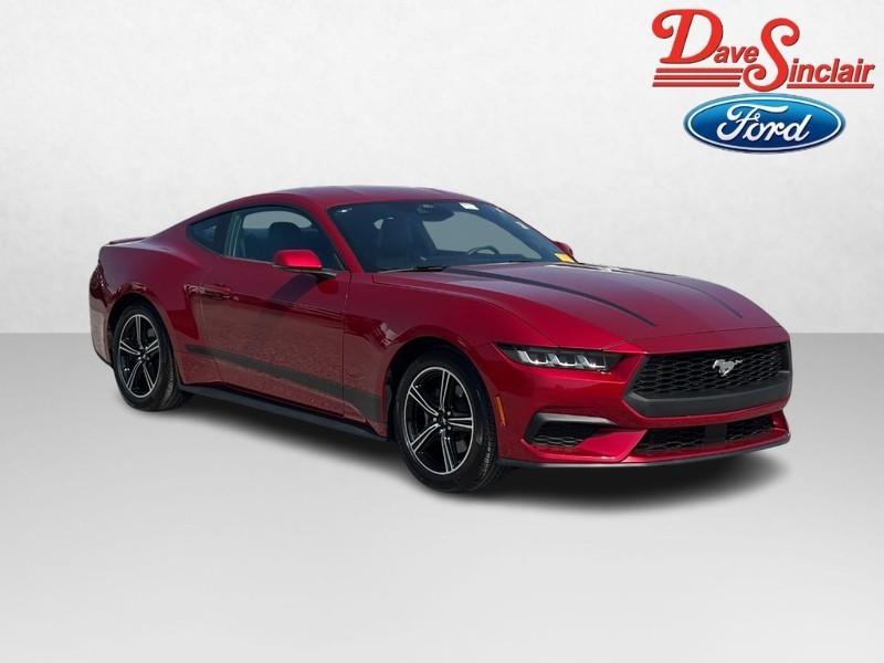 Ford Mustang Vehicle Image 04