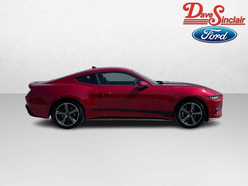 Ford Mustang Vehicle Image 05