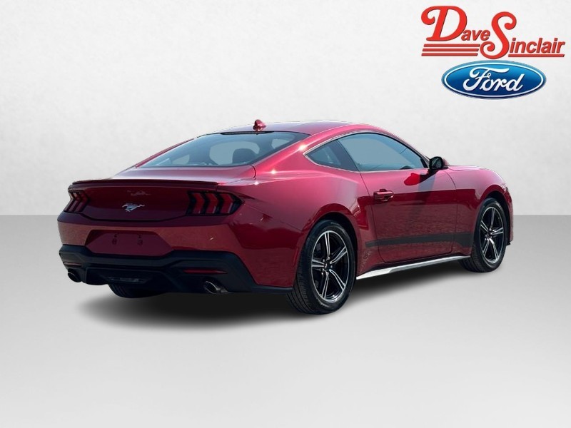 Ford Mustang Vehicle Image 07