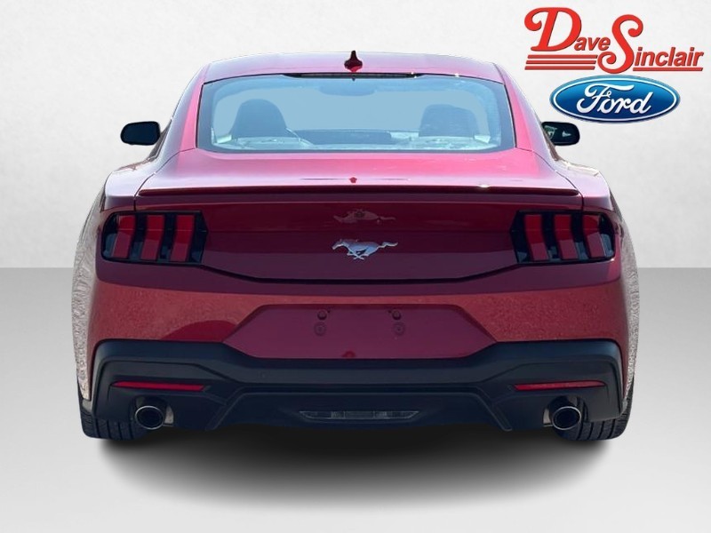 Ford Mustang Vehicle Image 08