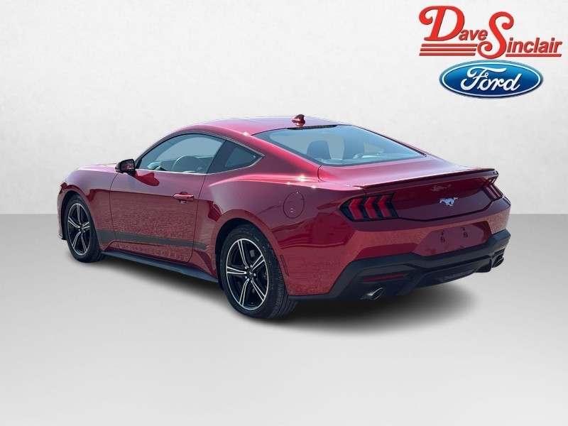 Ford Mustang Vehicle Image 09