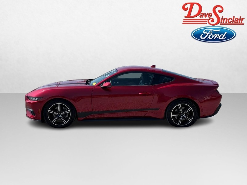Ford Mustang Vehicle Image 10