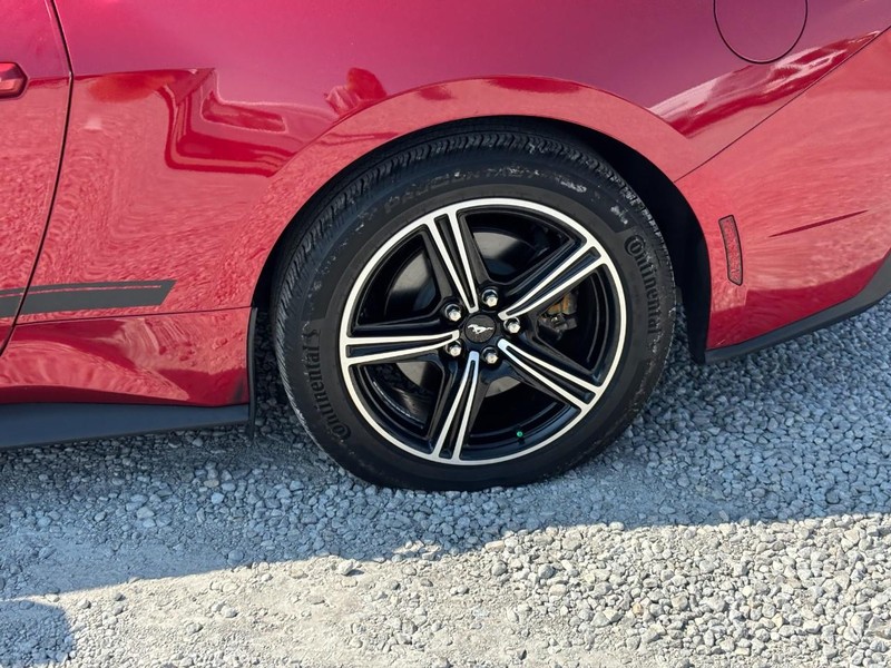 Ford Mustang Vehicle Image 12
