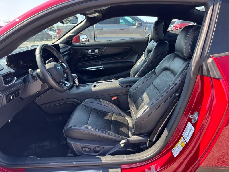 Ford Mustang Vehicle Image 14