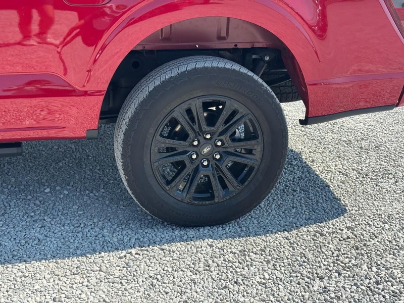 Ford F-150 Vehicle Image 12