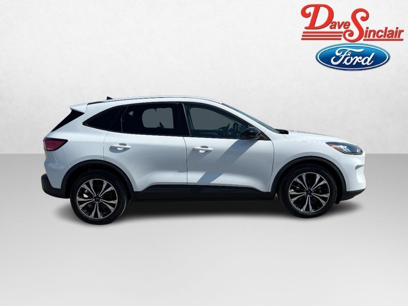 Ford Escape Vehicle Image 05