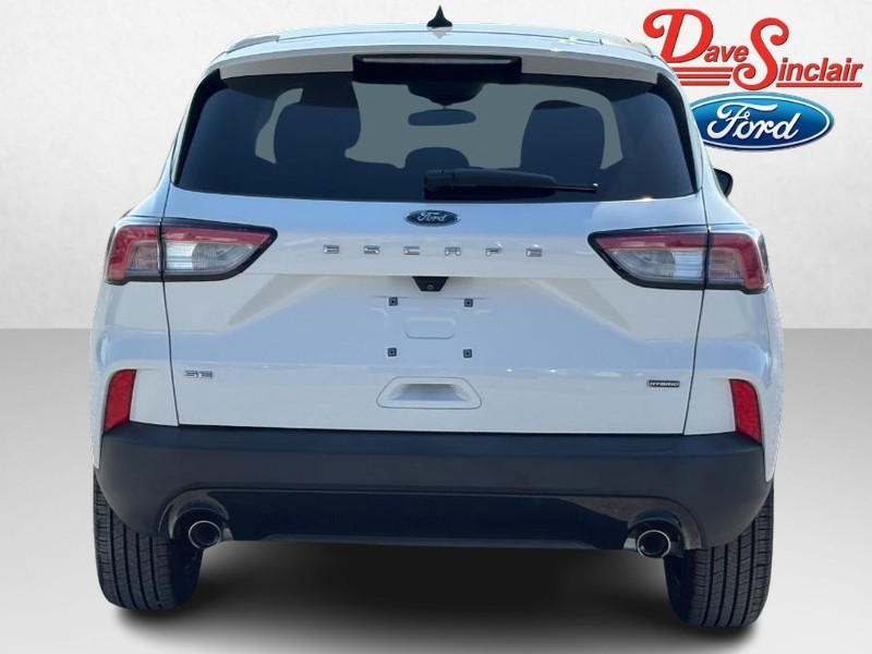 Ford Escape Vehicle Image 08
