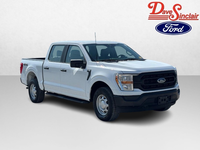 Ford F-150 Vehicle Image 04
