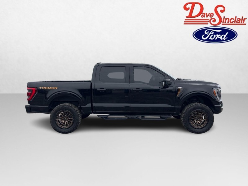 Ford F-150 Vehicle Full-screen Gallery Image 05