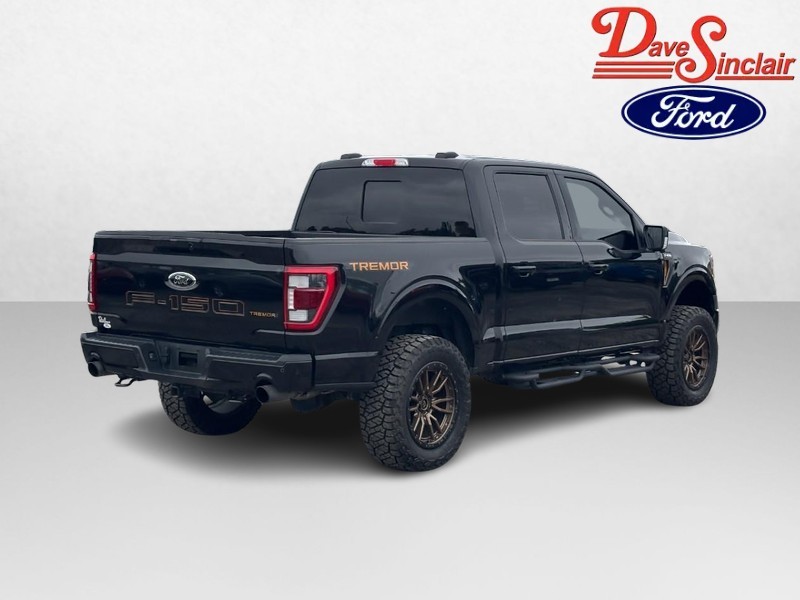 Ford F-150 Vehicle Full-screen Gallery Image 07