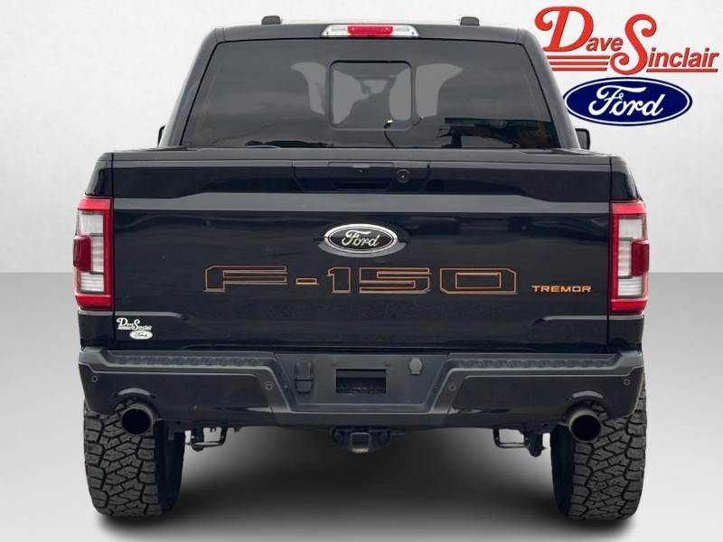 Ford F-150 Vehicle Full-screen Gallery Image 08