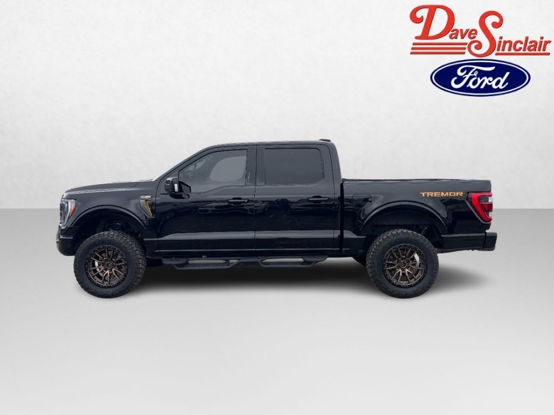 Ford F-150 Vehicle Full-screen Gallery Image 10