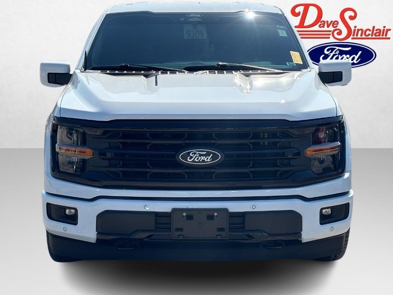 Ford F-150 Vehicle Full-screen Gallery Image 04
