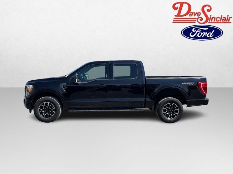 Ford F-150 Vehicle Full-screen Gallery Image 10