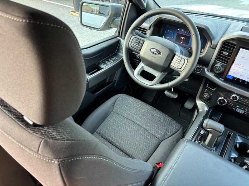 Ford F-150 Vehicle Full-screen Gallery Image 14