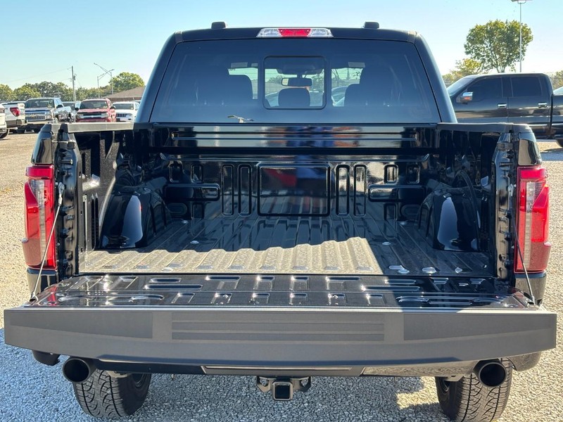 Ford F-150 Vehicle Full-screen Gallery Image 11