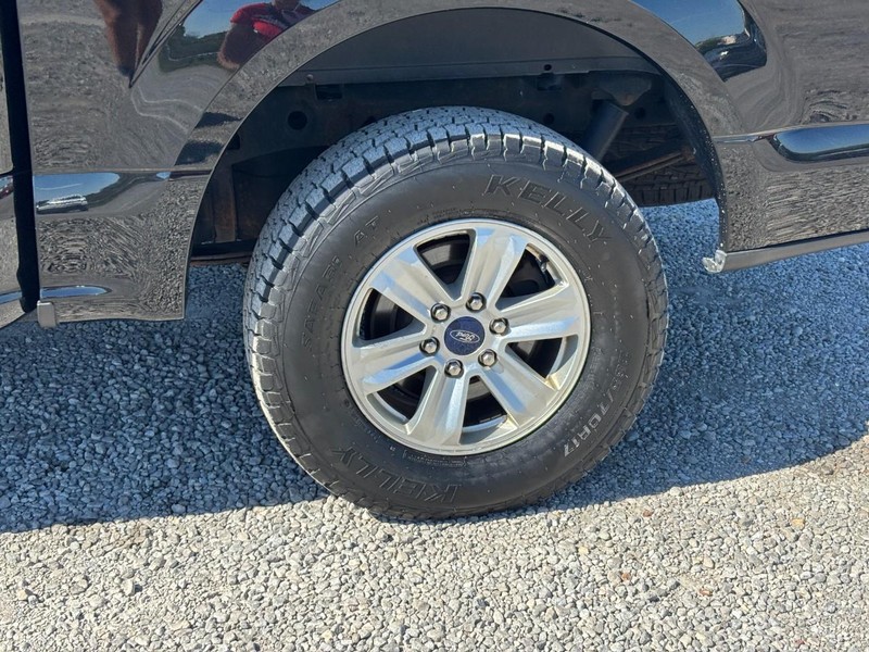 Ford F-150 Vehicle Image 12