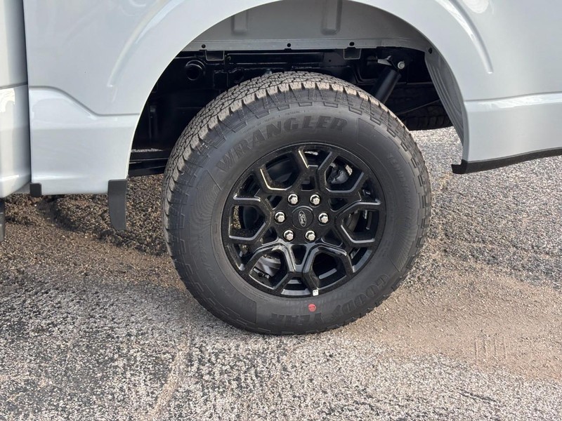 Ford F-150 Vehicle Full-screen Gallery Image 12