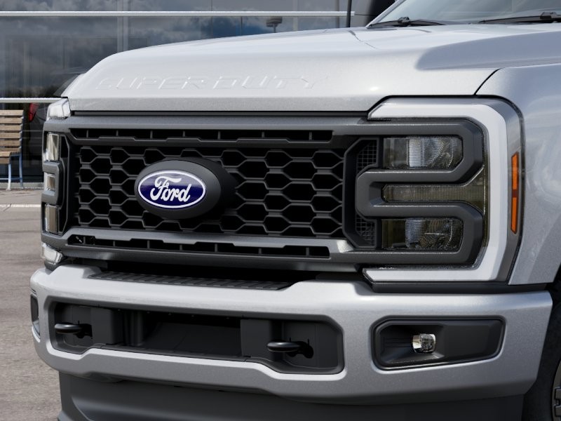 Ford Super Duty F-250 SRW Vehicle Image 19
