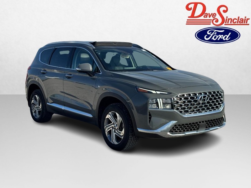 Hyundai Santa Fe Vehicle Image 04