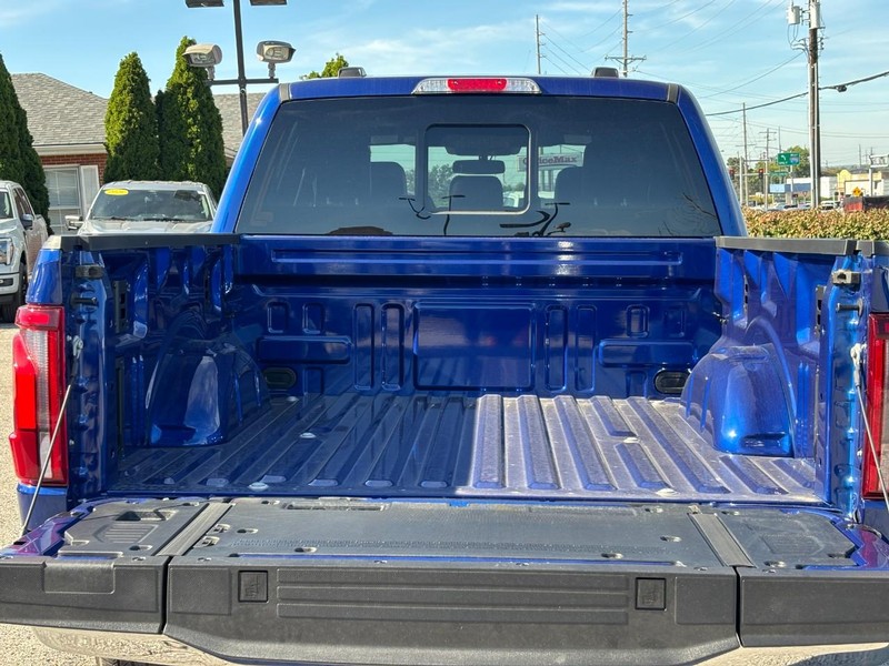 Ford F-150 Vehicle Full-screen Gallery Image 11