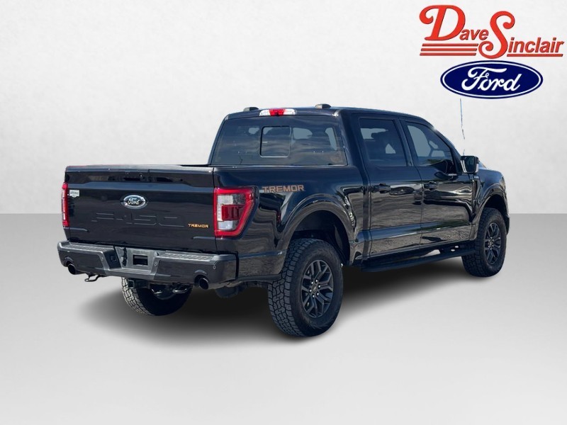 Ford F-150 Vehicle Full-screen Gallery Image 07