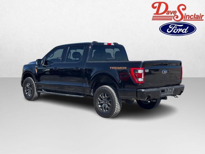 Ford F-150 Vehicle Full-screen Gallery Image 09