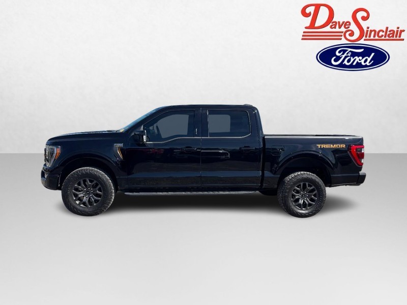 Ford F-150 Vehicle Full-screen Gallery Image 10