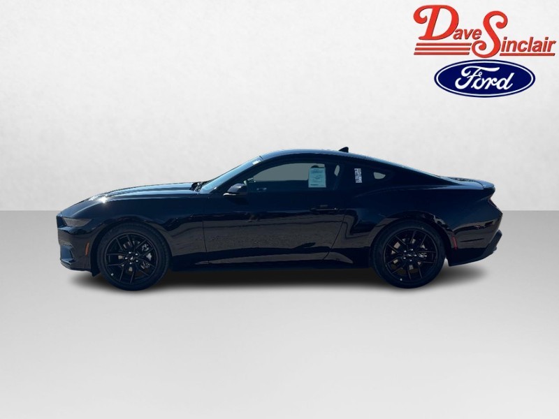 Ford Mustang Vehicle Image 10