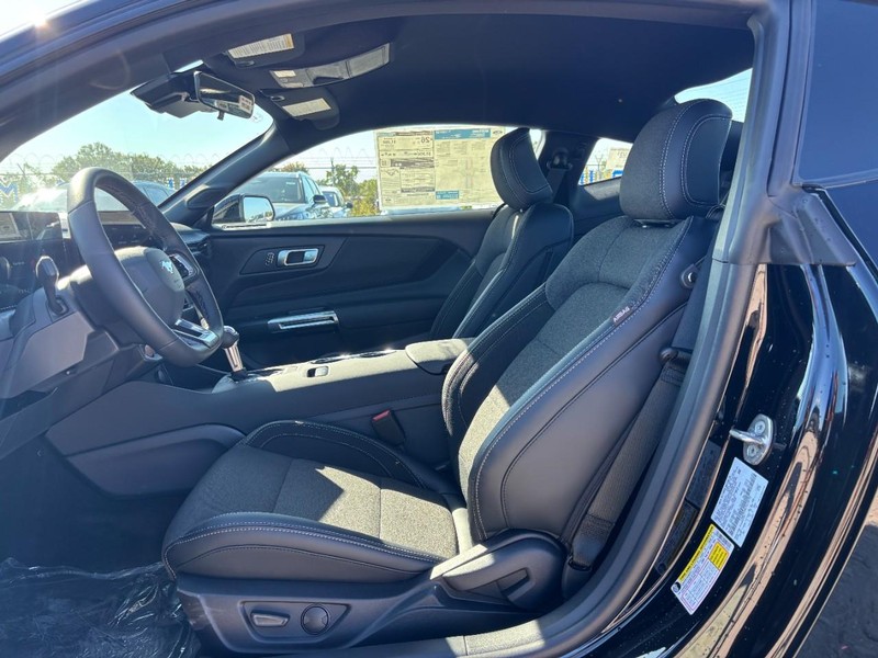 Ford Mustang Vehicle Image 14