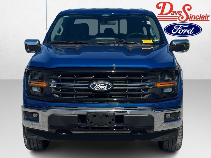 Ford F-150 Vehicle Image 02