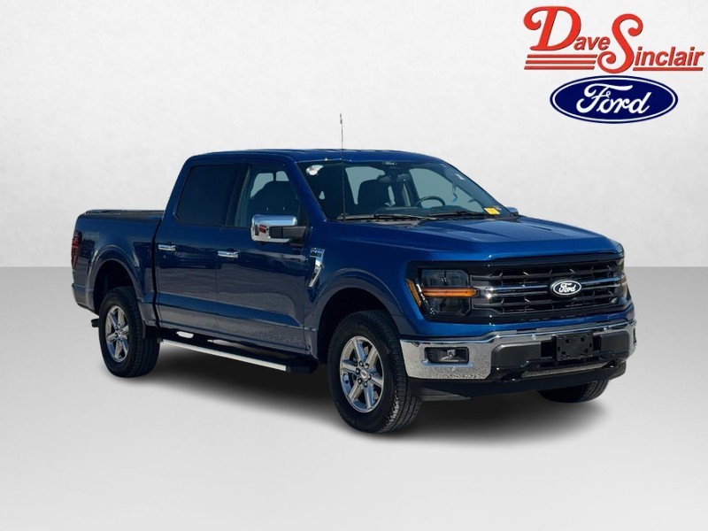 Ford F-150 Vehicle Image 04