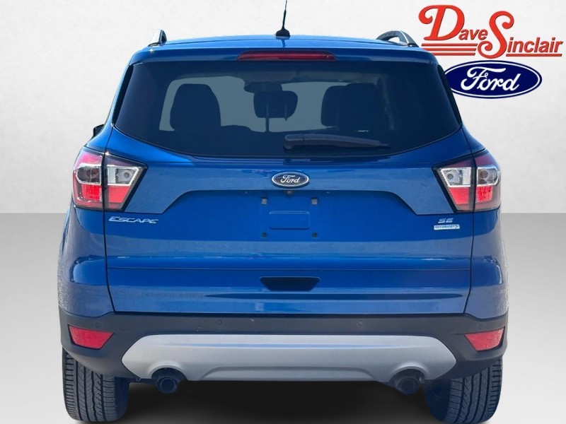 Ford Escape Vehicle Image 08