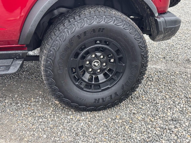 Ford Bronco Vehicle Image 12