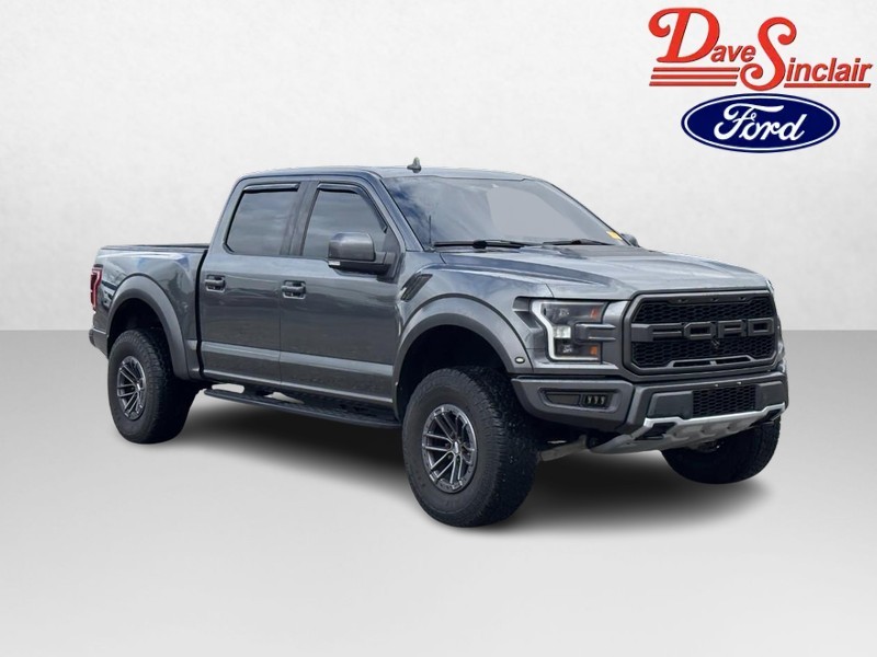 Ford F-150 Vehicle Image 04