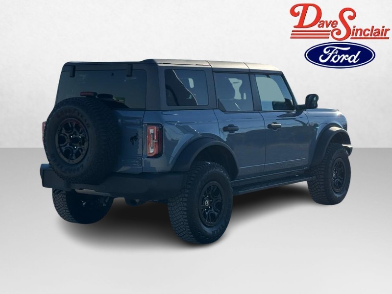 Ford Bronco Vehicle Full-screen Gallery Image 07