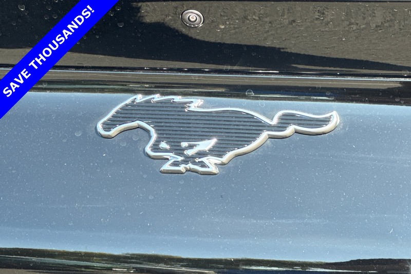 Ford Mustang Mach-E Vehicle Full-screen Gallery Image 08