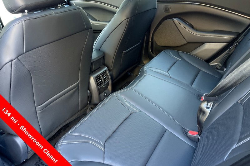 Ford Mustang Mach-E Vehicle Full-screen Gallery Image 12