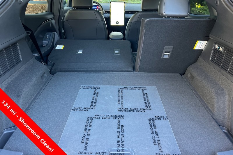 Ford Mustang Mach-E Vehicle Full-screen Gallery Image 15