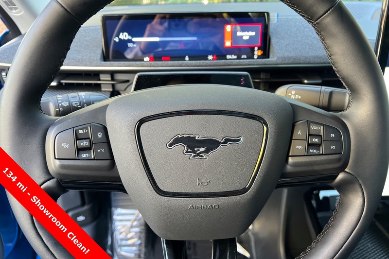 Ford Mustang Mach-E Vehicle Full-screen Gallery Image 24