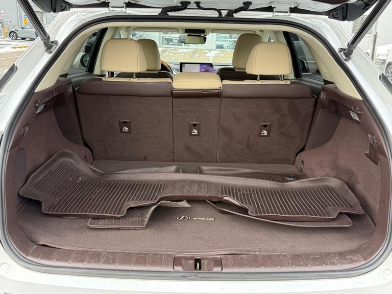 Lexus RX Vehicle Full-screen Gallery Image 04