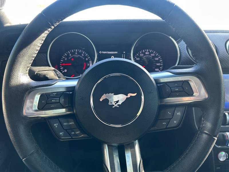 Ford Mustang Vehicle Full-screen Gallery Image 13