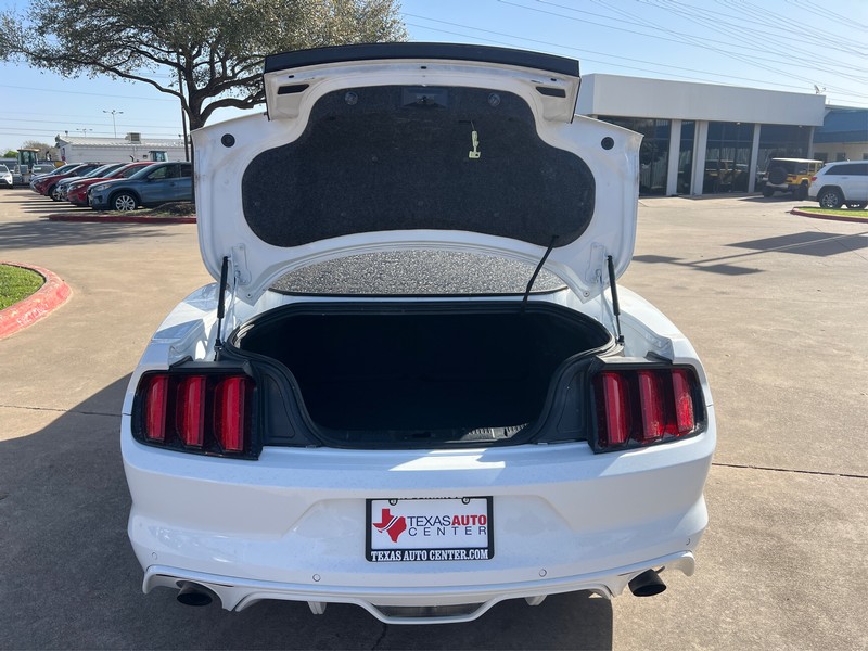 Ford Mustang Vehicle Full-screen Gallery Image 10