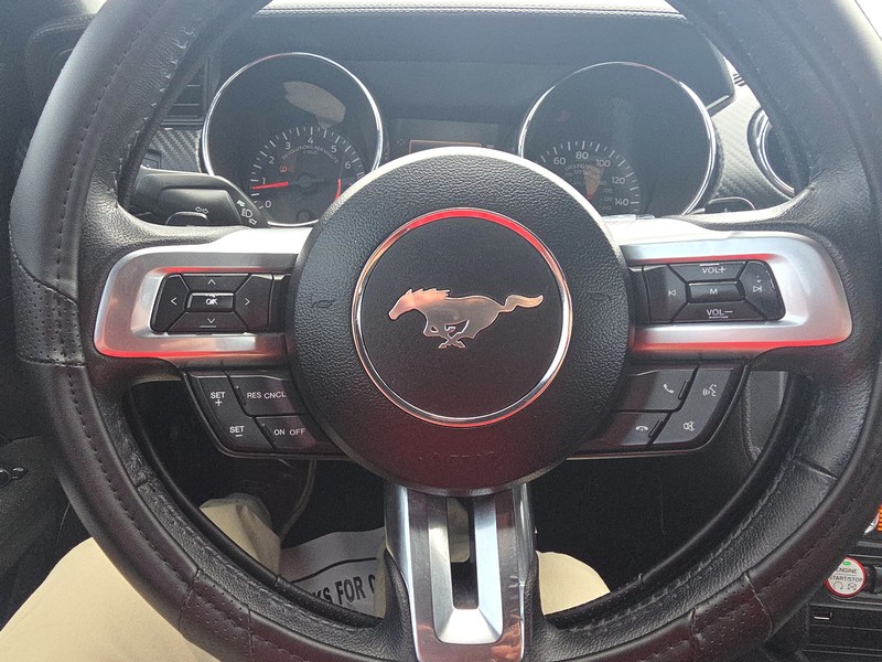 Ford Mustang Vehicle Full-screen Gallery Image 12