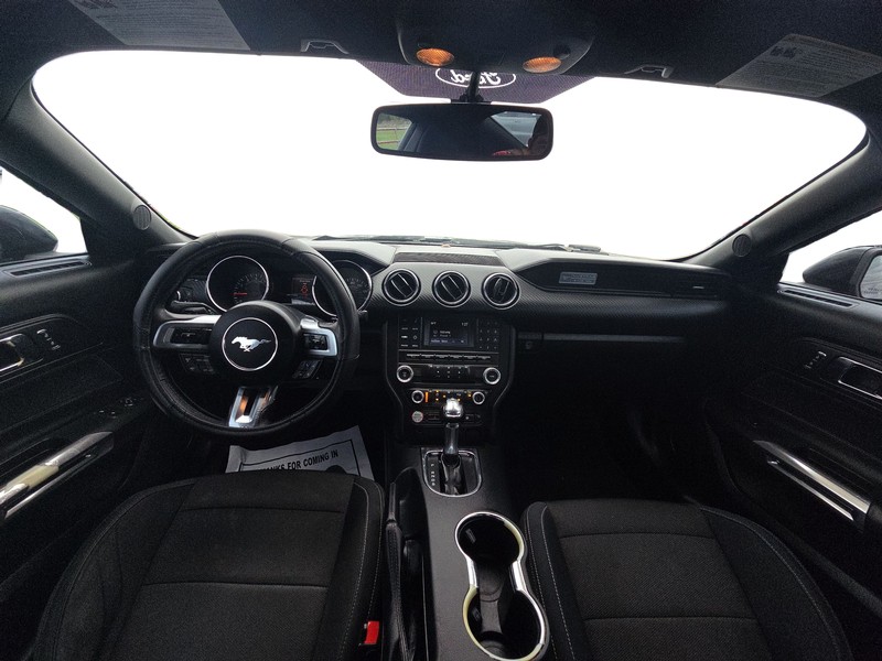 Ford Mustang Vehicle Full-screen Gallery Image 13