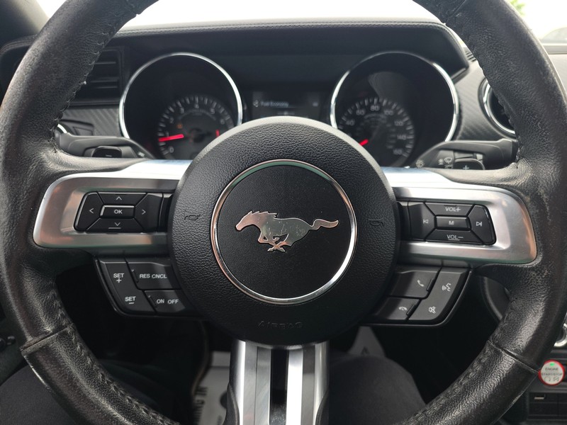 Ford Mustang Vehicle Full-screen Gallery Image 12