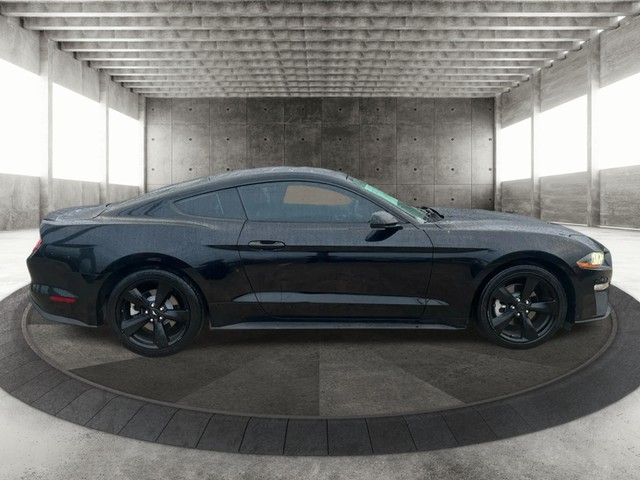 Ford Mustang Vehicle Full-screen Gallery Image 04