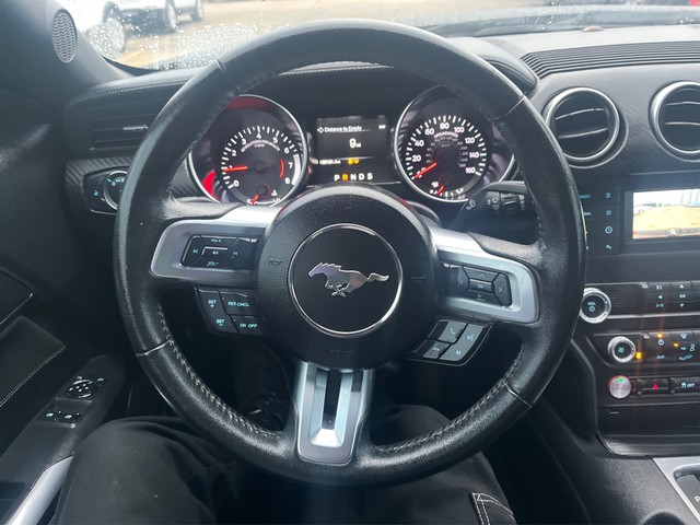 Ford Mustang Vehicle Full-screen Gallery Image 12