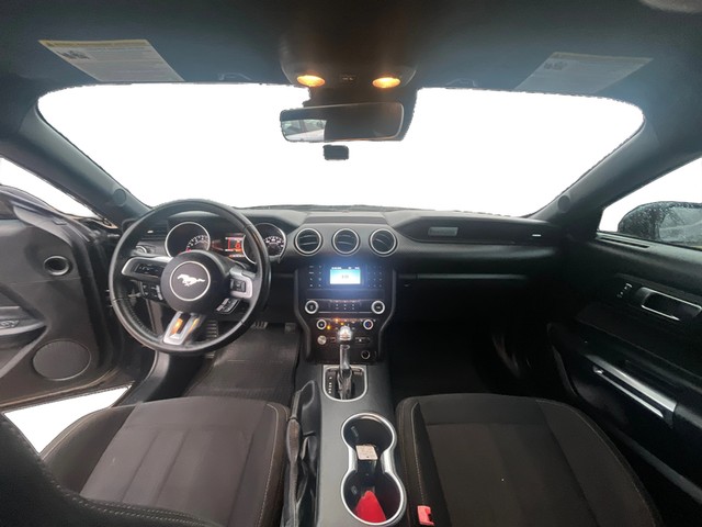 Ford Mustang Vehicle Full-screen Gallery Image 13
